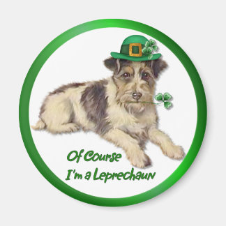 Aimant Chien Leprechaun