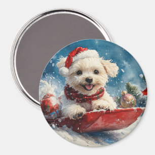 Aimant Chien maltais dans la corniche laissez passer Noël