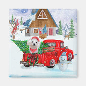 Aimant Chien maltais en livraison de Noël Camion Neige (Devant)