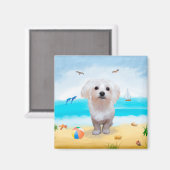 Aimant Chien maltais sur la plage (Recto/Verso)