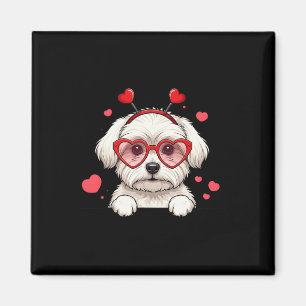 Aimant Chien Maltais Tête de Coeur Saint-Valentin Maltais