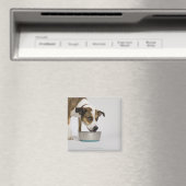 Aimant Chien mangeant dans un bol (In Situ (Lave-vaisselle))