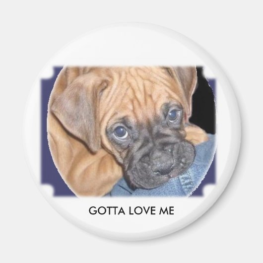 Aimant chien marcys ici, GOTTA LOVE ME (Devant)