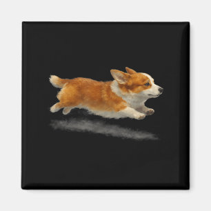 Aimant Chien mignon qui court drôle corgi qui court art m
