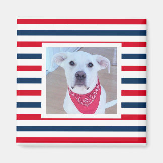 Aimant Chien mignon Rouge Blanc Bleu Bleu Rayures Patriot