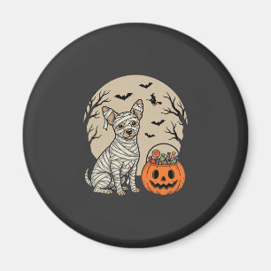 Aimant Chien Momie d'Halloween et Bonbons de Citrouille