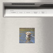 Aimant Chien nageant (In Situ (Lave-vaisselle))