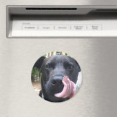 Aimant Chien noir (In Situ (Lave-vaisselle))
