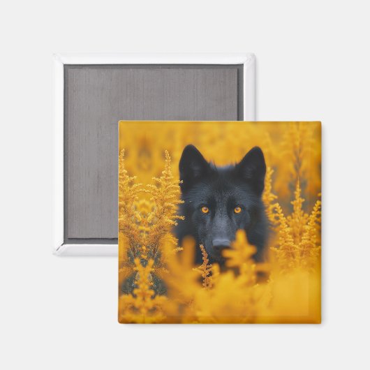 Aimant Chien noir aux yeux d'or étonnants (Recto/Verso)