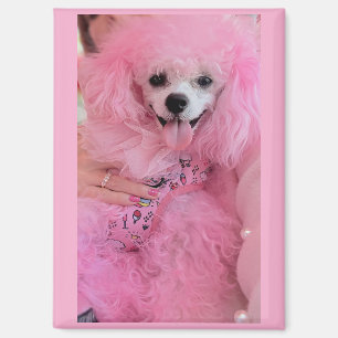 Aimant chien nu poilu rose, cadeau aimant chien nu