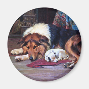 Aimant Chien orphelin avec l'art de cru de colley