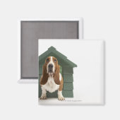 Aimant Chien par niche (Recto/Verso)