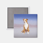 Aimant Chien Pitbull Assis Sur La Plage (Recto/Verso)