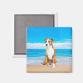 Aimant Chien Pitbull Assis Sur La Plage (Recto/Verso)