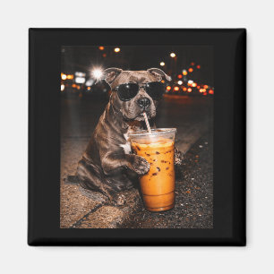 Aimant Chien Pitbull buvant un café glacé avec des lunett