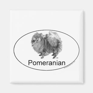 Aimant Chien Poméranien Eruo