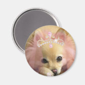 Aimant chien princesse de fée avec couronne diamant (Recto/Verso)