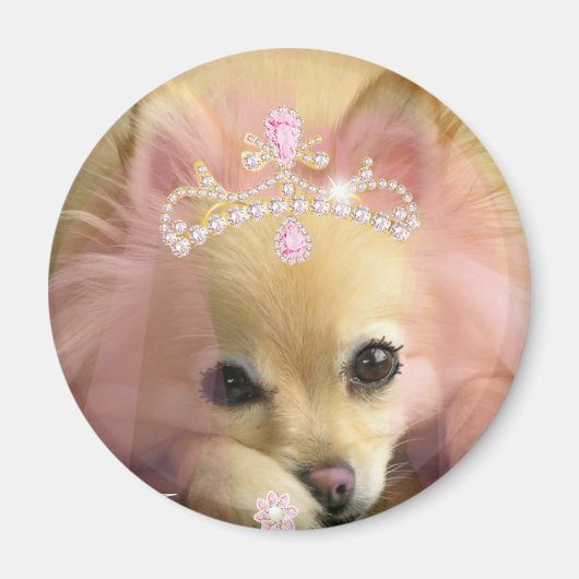 Aimant chien princesse de fée avec couronne diamant (Devant)