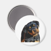Aimant Chien Rottweiler (Recto/Verso)