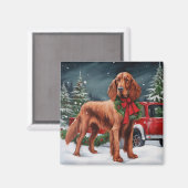 Aimant Chien rouge irlandais à la neige Noël (Recto/Verso)