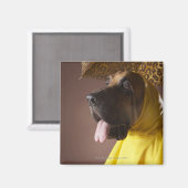 Aimant Chien sanglant. (Recto/Verso)