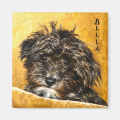 Aimant Chien Schnoodle (Devant)