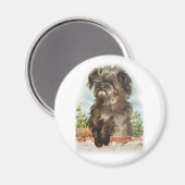 Aimant Chien shaggy vintage (Recto/Verso)