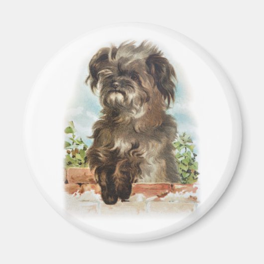 Aimant Chien shaggy vintage (Devant)