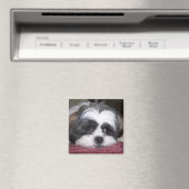 Aimant Chien Shih Tzu (In Situ (Lave-vaisselle))