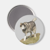 Aimant Chien sibérien Husky (Recto/Verso)