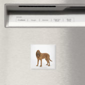 Aimant Chien sur blanc 97 (In Situ (Lave-vaisselle))