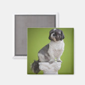 Aimant Chien sur une colonne (Recto/Verso)