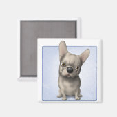 Aimant Chien-taureau français (Buff) (Recto/Verso)