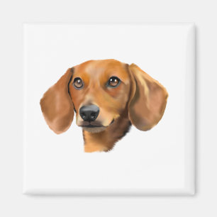 Aimant Chien teckel rouge