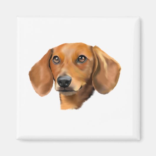Aimant Chien teckel rouge (Devant)