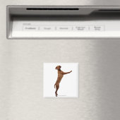 Aimant Chien Vizsla (In Situ (Lave-vaisselle))