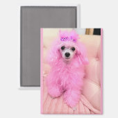 Aimant chienne caniche rose, cadeau aimant chienne (Recto/Verso)
