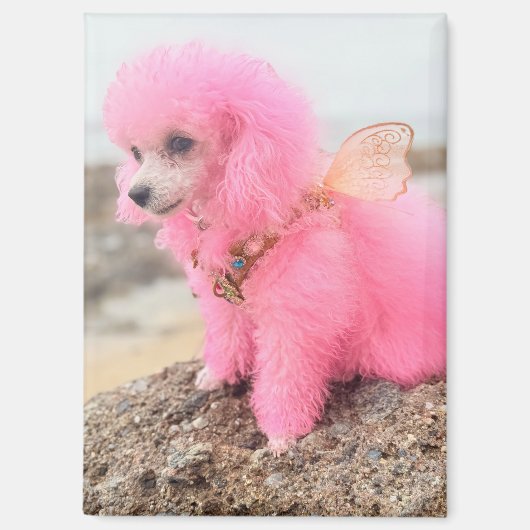 Aimant chienne rose (Recto)