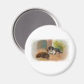 Aimant Chiens (Recto/Verso)