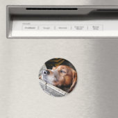 AIMANT CHIENS (In Situ (Lave-vaisselle))