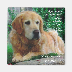 Aimant Chiens affectueux