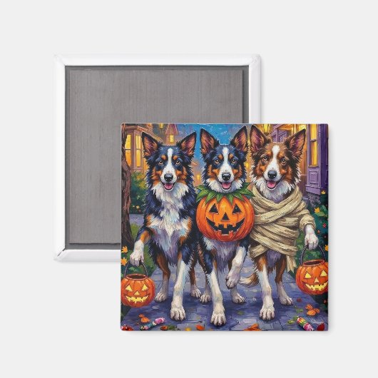 Aimant Chiens Border Collie faisant Trick-or-Treating à H (Recto/Verso)