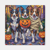 Aimant Chiens Border Collie faisant Trick-or-Treating à H (Devant)