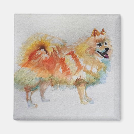 Aimant Chiens d'aquarelle allemands Spitz Pomeranian (Devant)