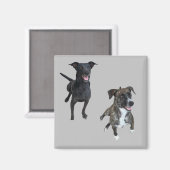 Aimant Chiens de Carlos (Recto/Verso)