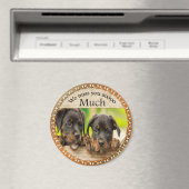 Aimant Chiens de chiot mignons avec un visage triste (In Situ (Lave-vaisselle))