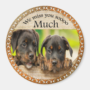 Aimant Chiens de chiot mignons avec un visage triste