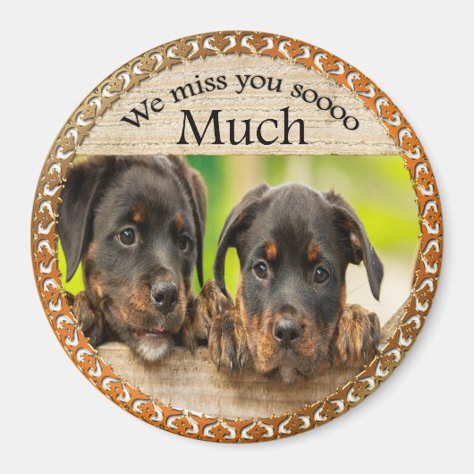 Aimant Chiens de chiot mignons avec un visage triste (Devant)