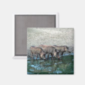 Aimant Chiens de guerre (Recto/Verso)