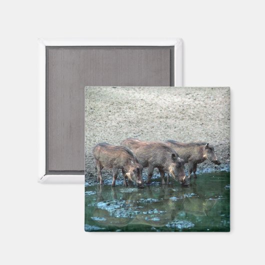 Aimant Chiens de guerre (Recto/Verso)